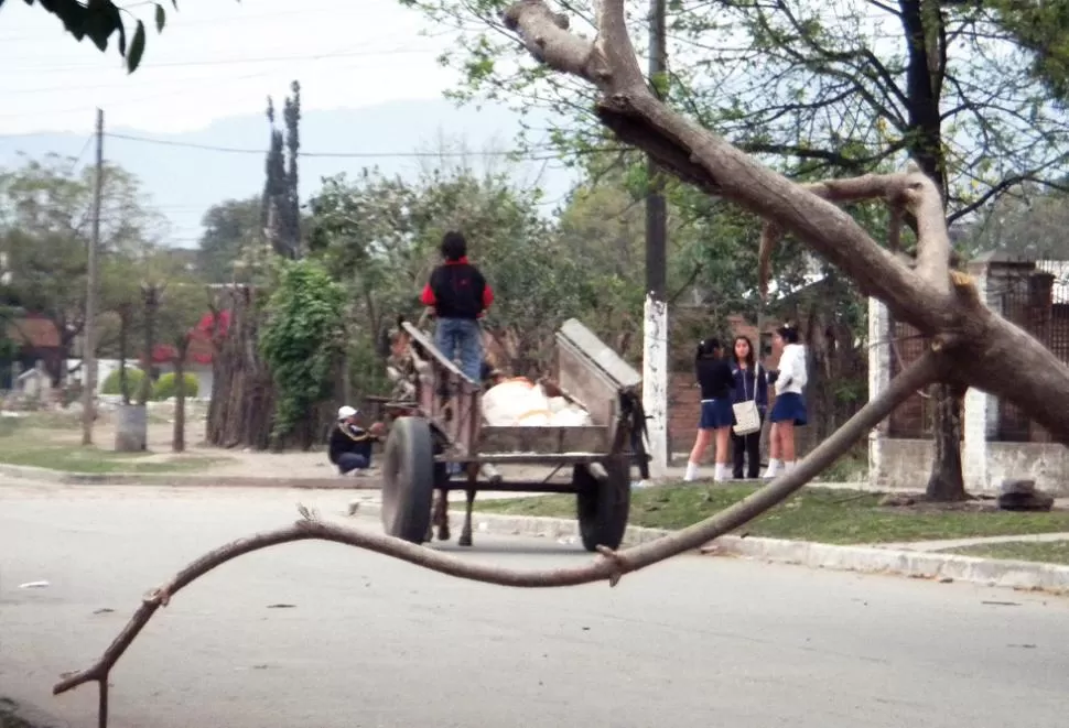 Por culpa de un grupo de malvivientes nos meten a todos en la misma bolsa