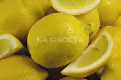 Aumentó el precio del limón en el Mercofrut