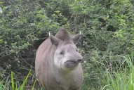 Conocé a Inés, la abuela de la reserva de Horco Molle