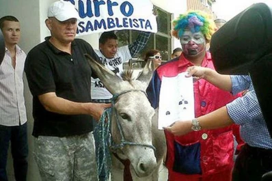 Jóvenes indignados quisieron inscribir a un burro para la Asamblea en Ecuador