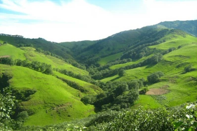 Verde que te quiero verde