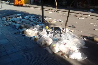 Un camión se metió en la peatonal