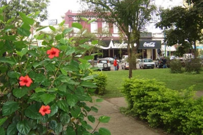 Los encerraron en una cámara frigorífica y los ataron con cinta de embalar