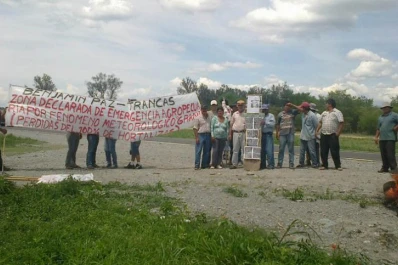 Pequeños horticultores esperan la ayuda oficial para paliar la pérdida total de cultivos