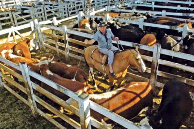 El Gobierno se negó a eliminar las retenciones a la carne