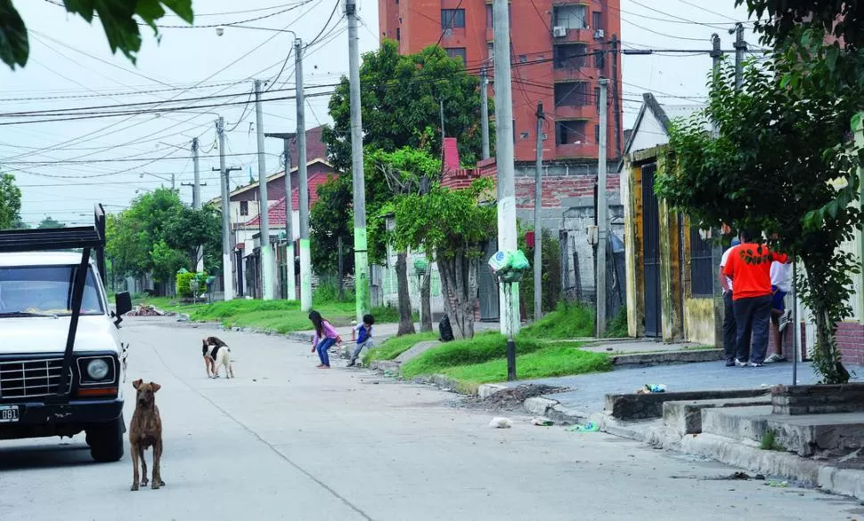 INTRANQUILIDAD. En Inca Garcilazo al 1.200, donde hay muchos perros en la calle, los vecinos temen que los perros Pitbull puedan cometer otro ataque. 