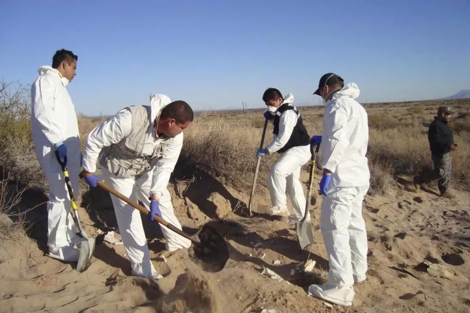 BUSCANDO RESTOS. Forenses excavan cerca de Ciudad Juárez, donde se descubrieron 15 fosas clandestinas. REUTERS