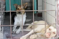 Todos se preocupan pero ¿quién se ocupa?