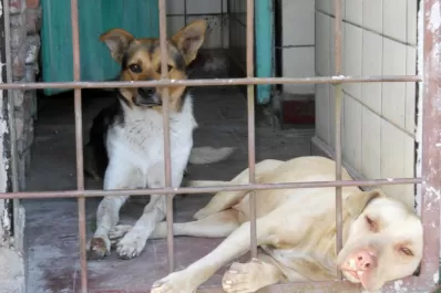 Todos se preocupan pero ¿quién se ocupa?