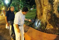 Tres plazas del centro son hogar de las ratas
