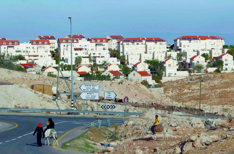 SOBRE SITIOS DISPUTADOS. Un grupo de beduinos cruza lentamente la ruta en la zona del asentamiento israelí Maale Adumim, cerca de Jerusalén. REUTERS
