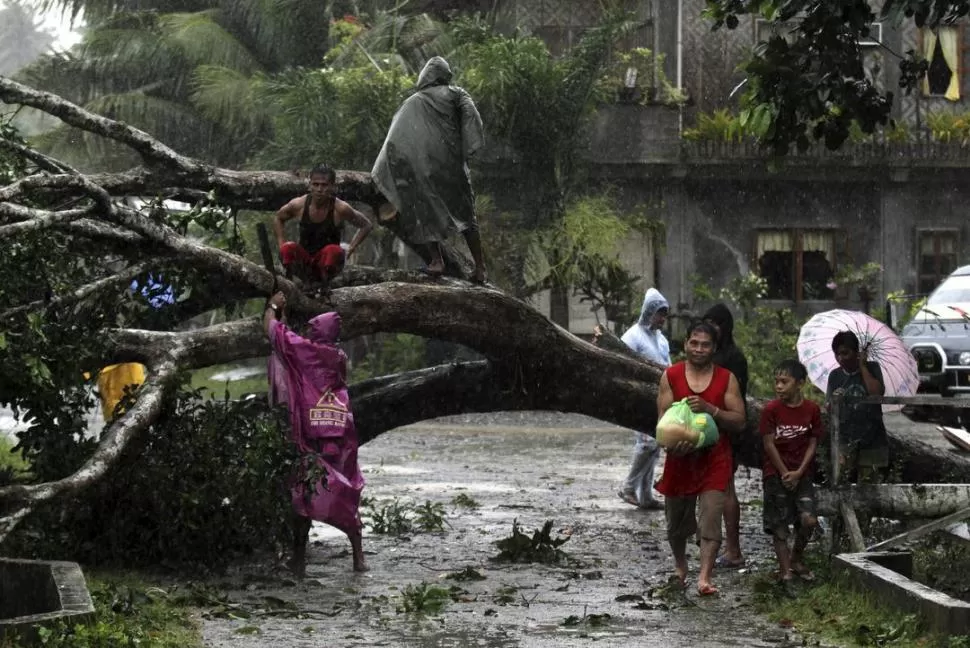 DESTRUCCIÓN. Residentes de la ciudad de Tagum, al suroeste del país, tratan de quitar un enorme árbol caído sobre una calle céntrica. REUTERS