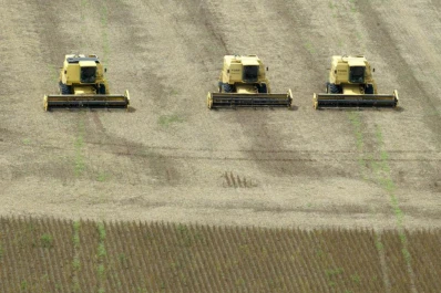 Las lluvias afectarían la cosecha récord de soja