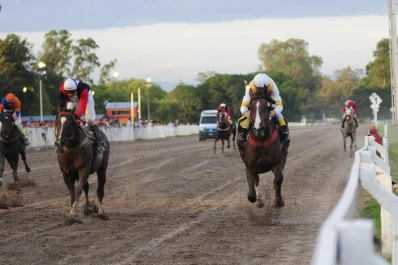 Una grata revelación