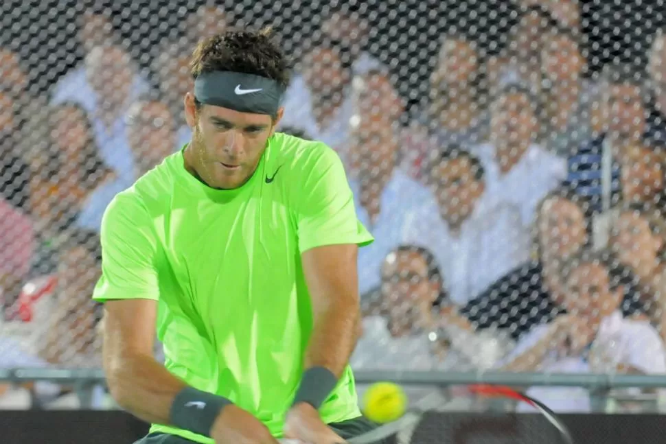 BUEN GOLPE. Juan Martín Del Potro le ganó a Federer en el primero de los dos partidos que jugarán en Tigre. DYN