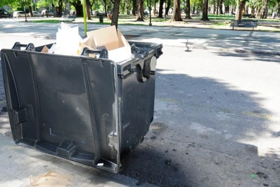 Los contenedores ya esperan la basura que suele ir a la vereda