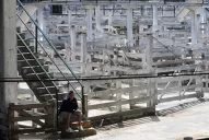 Paro por la estatización del predio de la Rural