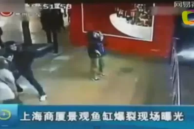 Un tanque de tiburones se rompió en pleno shopping