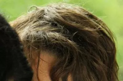 ¿Un cantante tucumano al programa de Cris Morena?