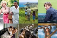 Los libros que inspiraron a seis candidatas al Oscar a la mejor película