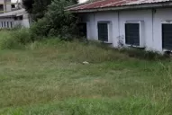Faltan conserjes, hay escuelas en obra y otras rodeadas por aguas servidas y malezales