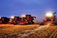 La zafra podría verse afectada por las trabas a la importación