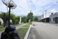 El recolector casi no pasa y ella esconde la basura en su jardín