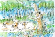El bosque nos habla