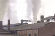 Una de cada cuatro actuaciones del ombudsman se vincula con el tema ambiental