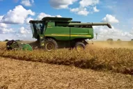 Argentina perderá seis millones de toneladas de soja por la seca