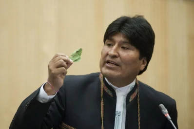 Bolivia pide despenalizar el acullicu de hoja de coca