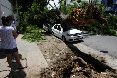 Un árbol cayó en Marcos Paz primera cuadra y aplastó tres autos
