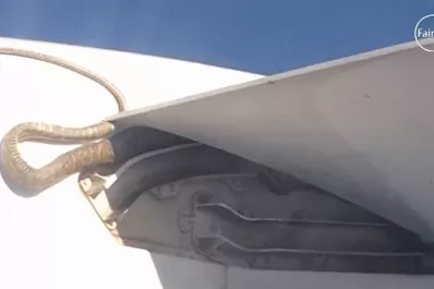 Una serpiente pitón de tres metros viajó  en el ala de avión