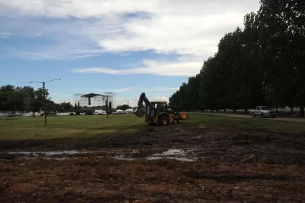 Habrá acción para todos