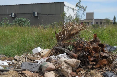 Una circunvalación con restos de animales faenados a la vista