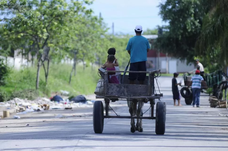 EXPRESIÓN DE UNA MARGINALIDAD EXTREMA. Muchas familias de carreros sobreviven gracias a la basura. LA GACETA / FOTO DE ANALíA JARAMILLO (ARCHIVO)  