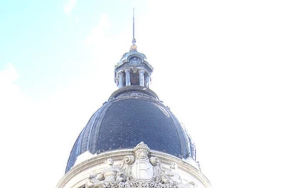 La primera soja que se rematará espera ofertas