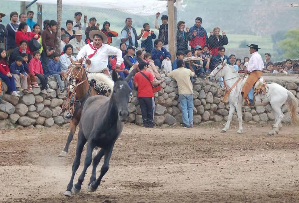 DOMA. 
La Fiesta de la Chuscha en Tafí.  LA GACETA / FOTO DE OSVALDO RIPOLL (ARCHIVO)