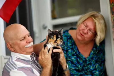 Una gata recorrió 300 kilómetros para encontrar a sus dueños