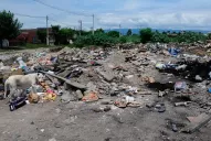 Dime cuánto ganas y te diré cuánto ensucias