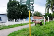 Un lugar para el reposo de viajeros del virreinato