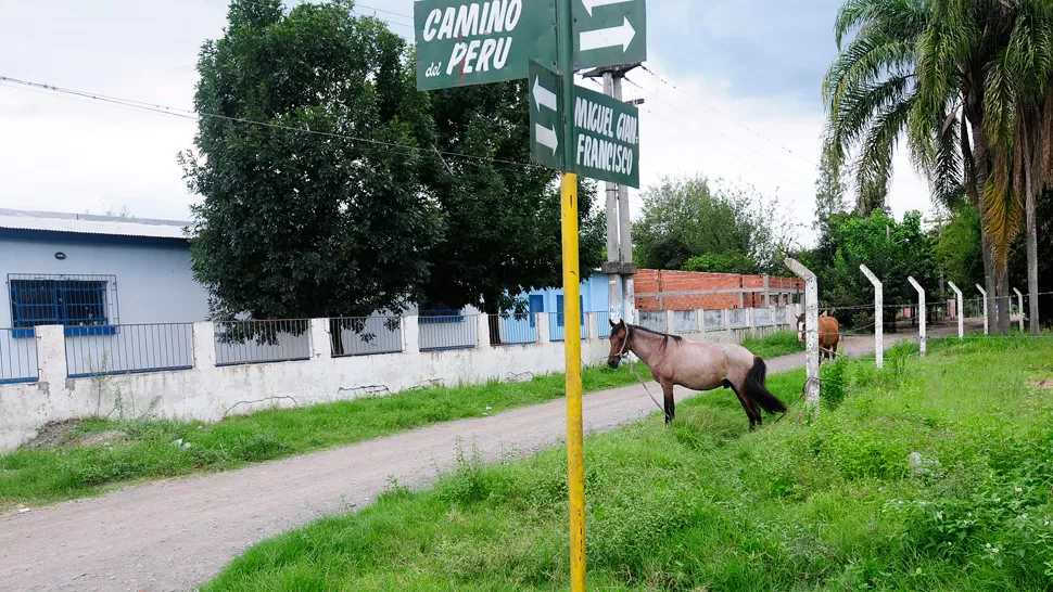 BAUTISMO. Los alumnos de la escuela primaria Arsenio Granillo llamaron Camino del Perú a la calle principal de Las Talas, por donde pasaba el Camino Real. LA GACETA/ FOTO DE ANALÍA JARAMILLO.