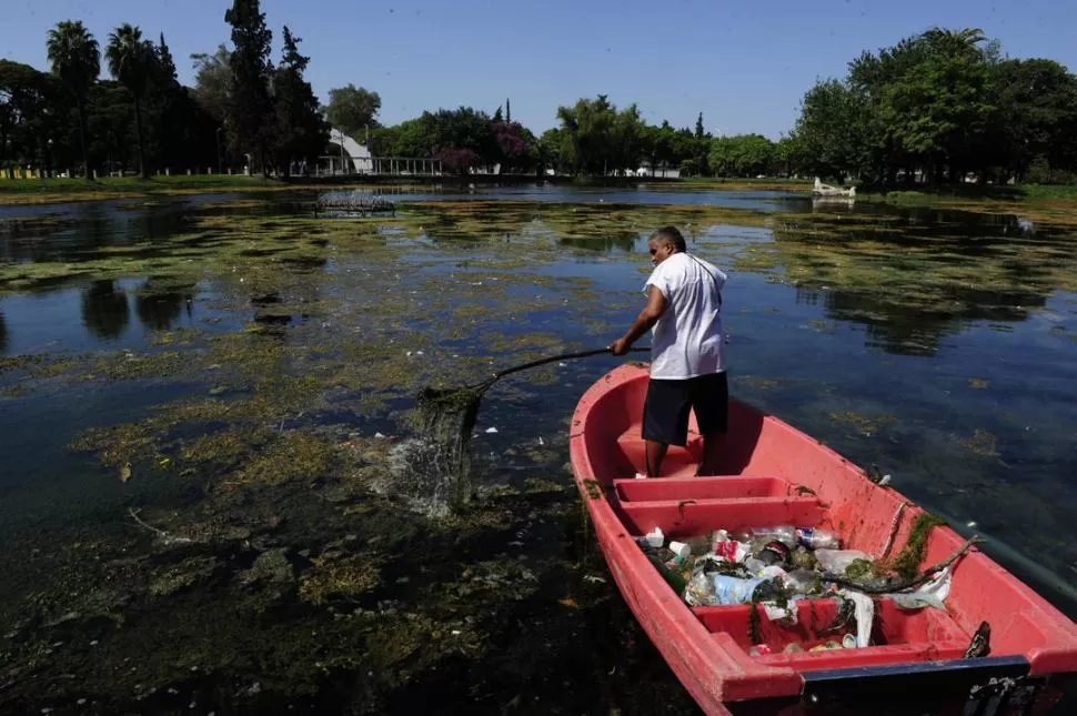 LIMPIEZA. Ayer por la mañana, un empleado de Espacios Verdes retiraba algas y desperdicios acumulados en el lago durante el fin de semana. LA GACETA / FOTO DE JORGE OLMOS SGROSSO