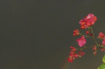 El arco iris deslumbró a los tucumanos