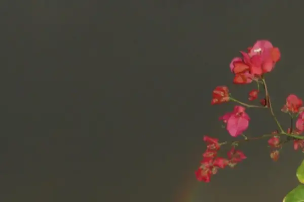 El arco iris deslumbró a los tucumanos