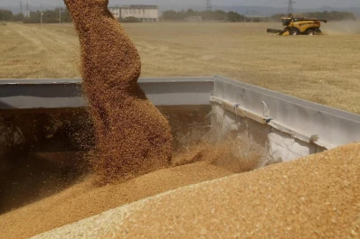 La soja sube su cotización, pero los productores no quieren vender