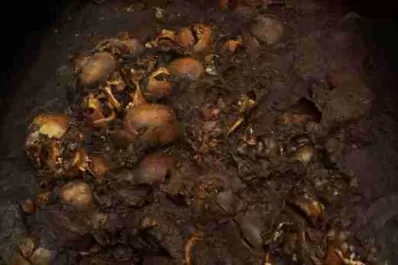 Descubren cráneos de 1.100 años en la zona de Teotihuacán