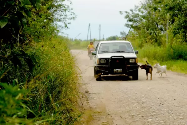 En Gastona, los caminos lucen abandonados