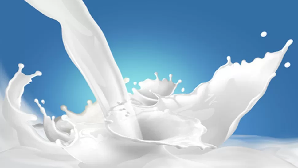 A SABER. Con una dieta a base de este lácteo puede reducir hasta 1 kilo diario.FOTO TOMADA D E LANACION.COM
