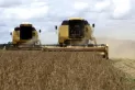 El sector agroexportador sufrió una caída del 30,5% en enero